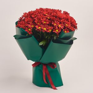 Vibrant bouquet of red flowers wrapped in green, flowers theme
